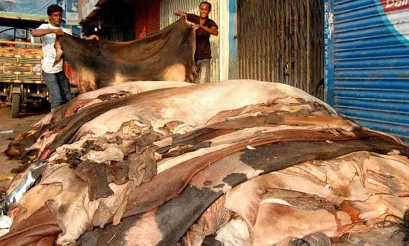 কোরবানির পশুর চামড়ার নতুন দাম নির্ধারণ
