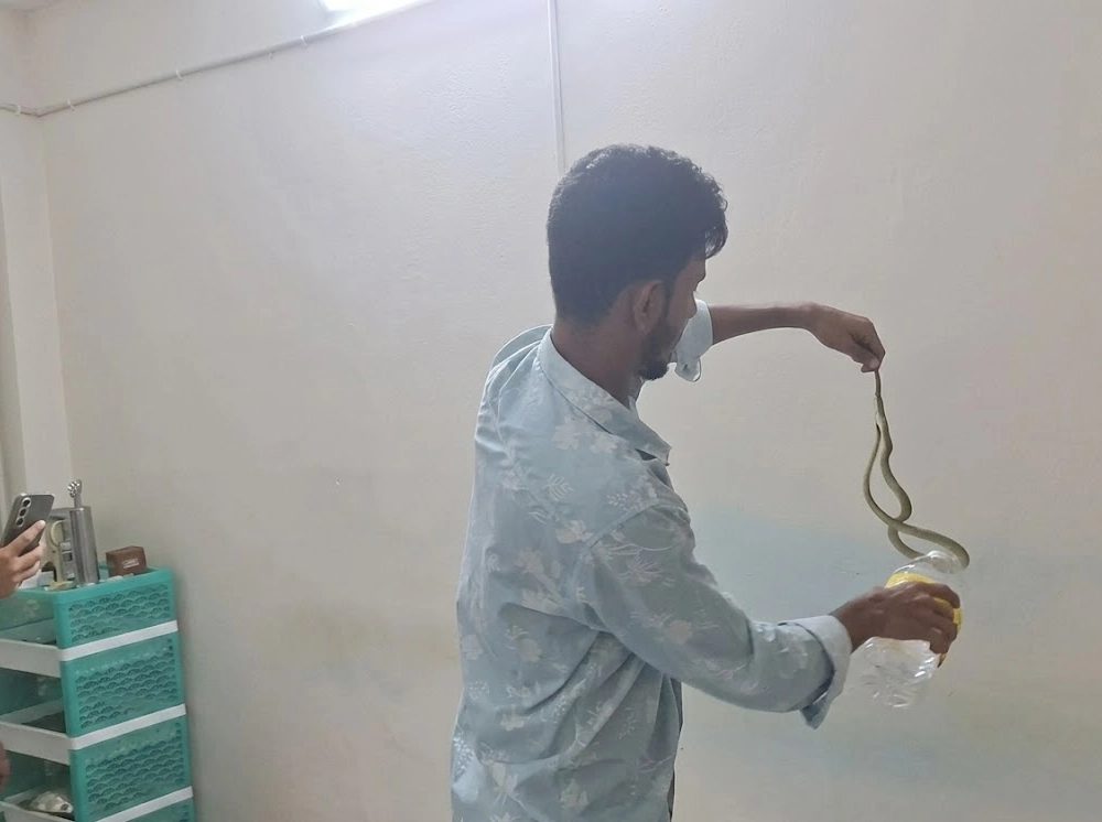 ক্লিনিকের এসি খুলতেই বেরিয়ে এলো ‘কালনাগিনী’