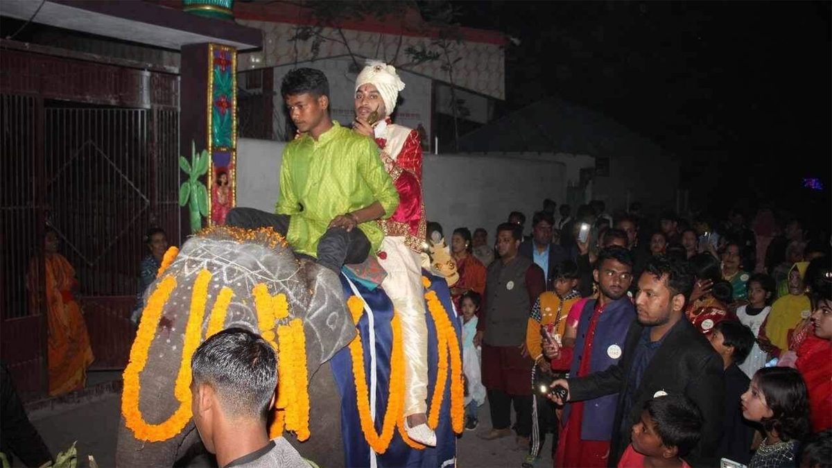 দাদার ইচ্ছা পূরণে হাতির পিঠে চড়ে বউ আনলেন নাতি