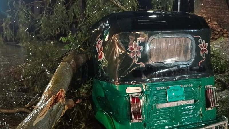 ঝড়-শিলাবৃষ্টি:চলন্ত অটোরিকশার উপর গাছ পড়ে আহত ৪