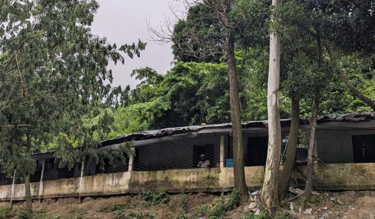 এবার এতিমখানার ফ্রিজ থেকে মাছ-মাংস চুরি!