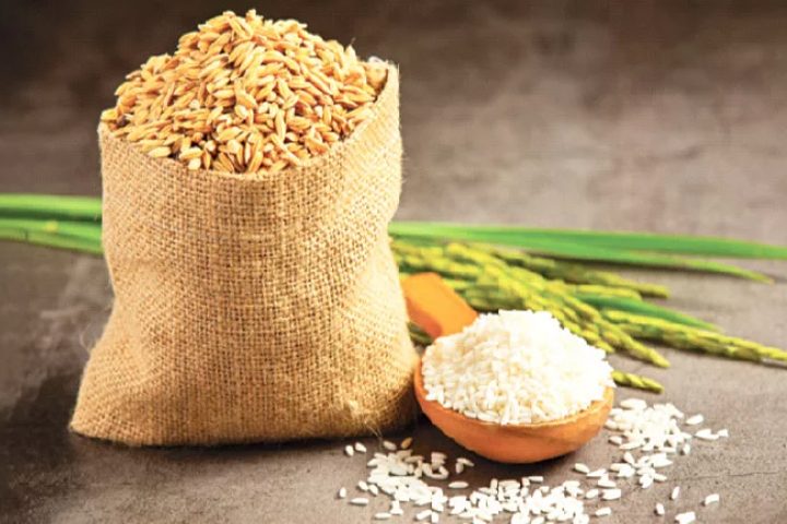 দুর্ভিক্ষ মোকাবেলায় হযরত ইউসুফ (আ.)-এর কর্মপন্থা