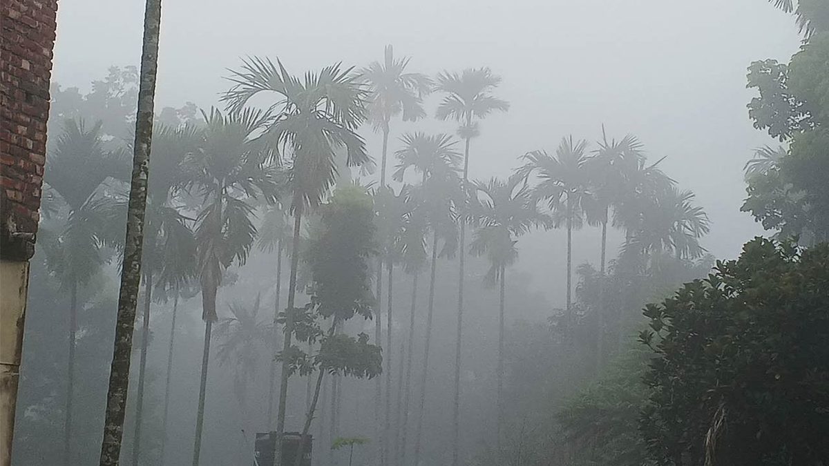 পঞ্চগড়ে শীতের কুয়াশার দেখা মিলছে শ্রাবণে