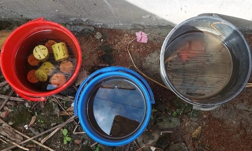 পুকুর পাড়ে পড়ে ছিল স্কচ টেপ পেঁচানো ১৬ ককটেল