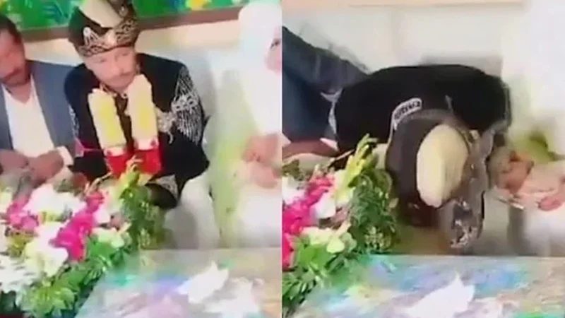 বিয়ের অনুষ্ঠানে হার্ট অ্যাটাকে মারা গেল বর