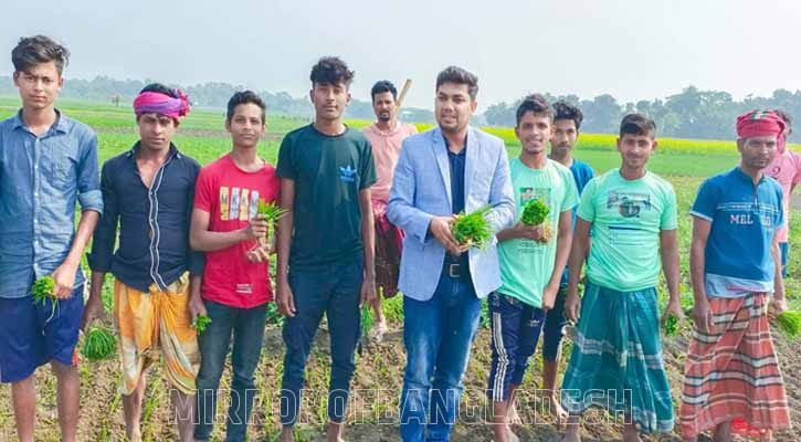খোকসায় পেঁয়াজ চাষে ছাড়িয়ে যাবে লক্ষ্যমাত্রা