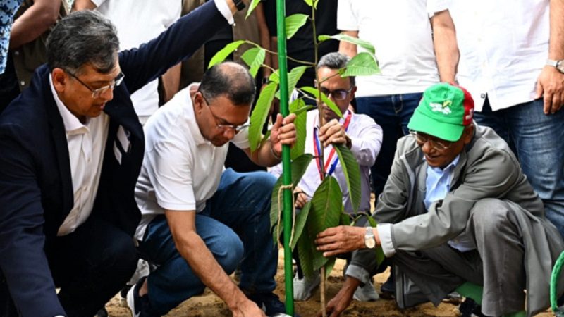 ২৫ কোটি বৃক্ষরোপণ কর্মসূচির উদ্বোধন করলেন প্রধানমন্ত্রী