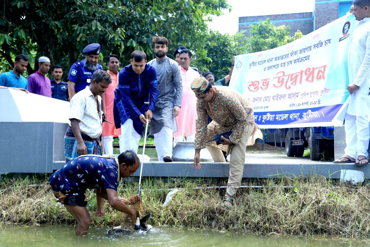 কুষ্টিয়া মডেল থানা'র জলাশয়ে মাছের পোনা অবমুক্ত
