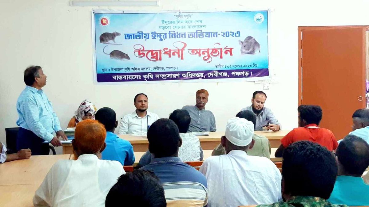 দেবীগঞ্জে ইঁদুর নিধন অভিযানের উদ্বোধন