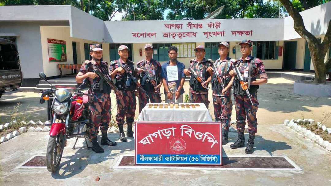 সীমান্ত থেকে ১৯ কেজি সোনা উদ্ধার, আটক ১