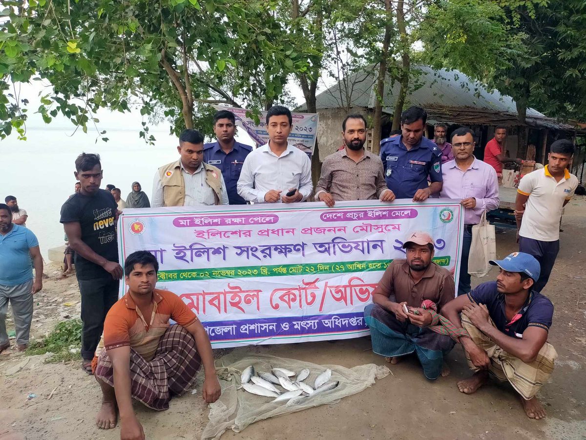 কুমারখালীতে ইলিশ ধরায় তিন জেলেকে জরিমানা