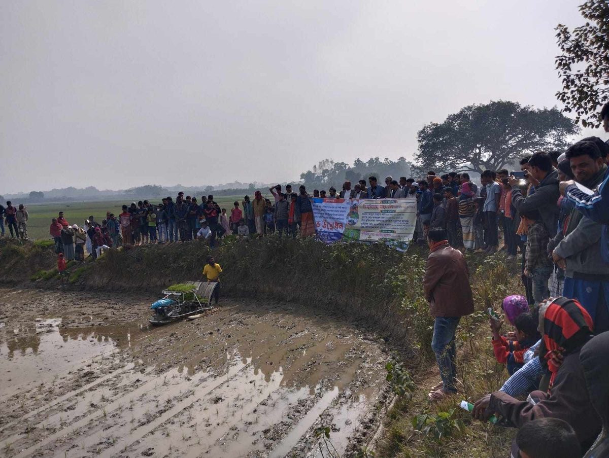 কুমারখালীতে কম খরচে অধিক লাভের সমলয় চাষাবাদ শুরু