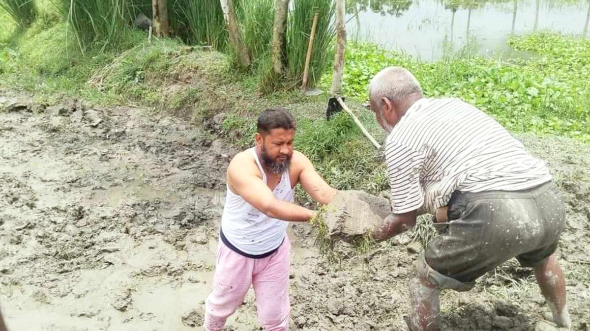 শ্রমিকদের সাথে রাস্তা তৈরি করে প্রশংসায় ভাসছেন ইউপি চেয়ারম্যান