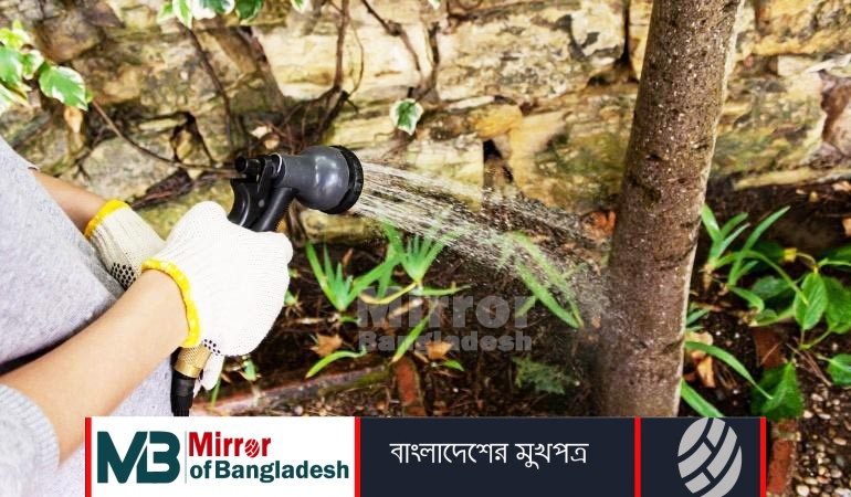 গাছে পানি দেওয়া নিষিদ্ধ করছে পর্তুগাল