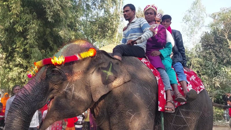 মায়ের স্বপ্ন পূরণে হাতির পিঠে চড়ে বিয়ে
