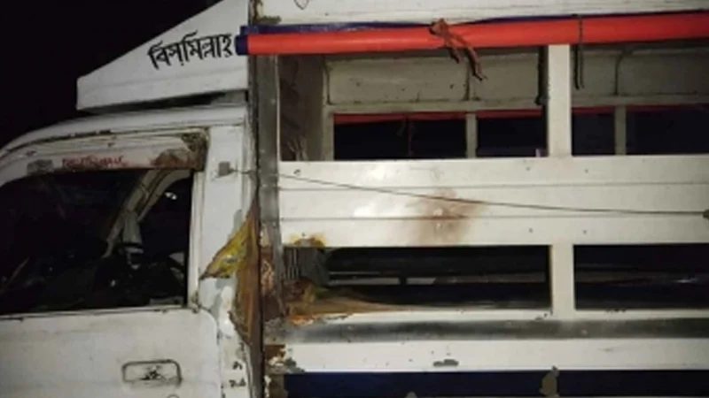 পুলিশের গাড়িতে ককটেল নিক্ষেপ, আহত ২