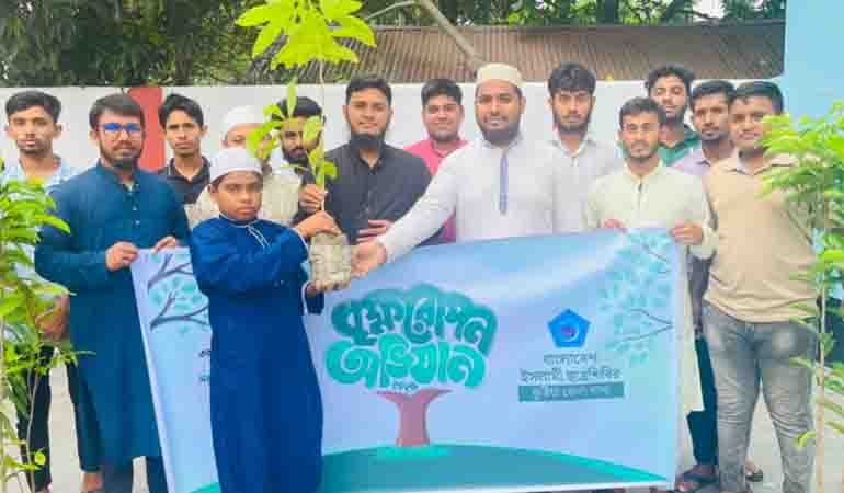 কুষ্টিয়ায় ছাত্রশিবিরের বৃক্ষরোপণ ও বিতরণ কর্মসূচি