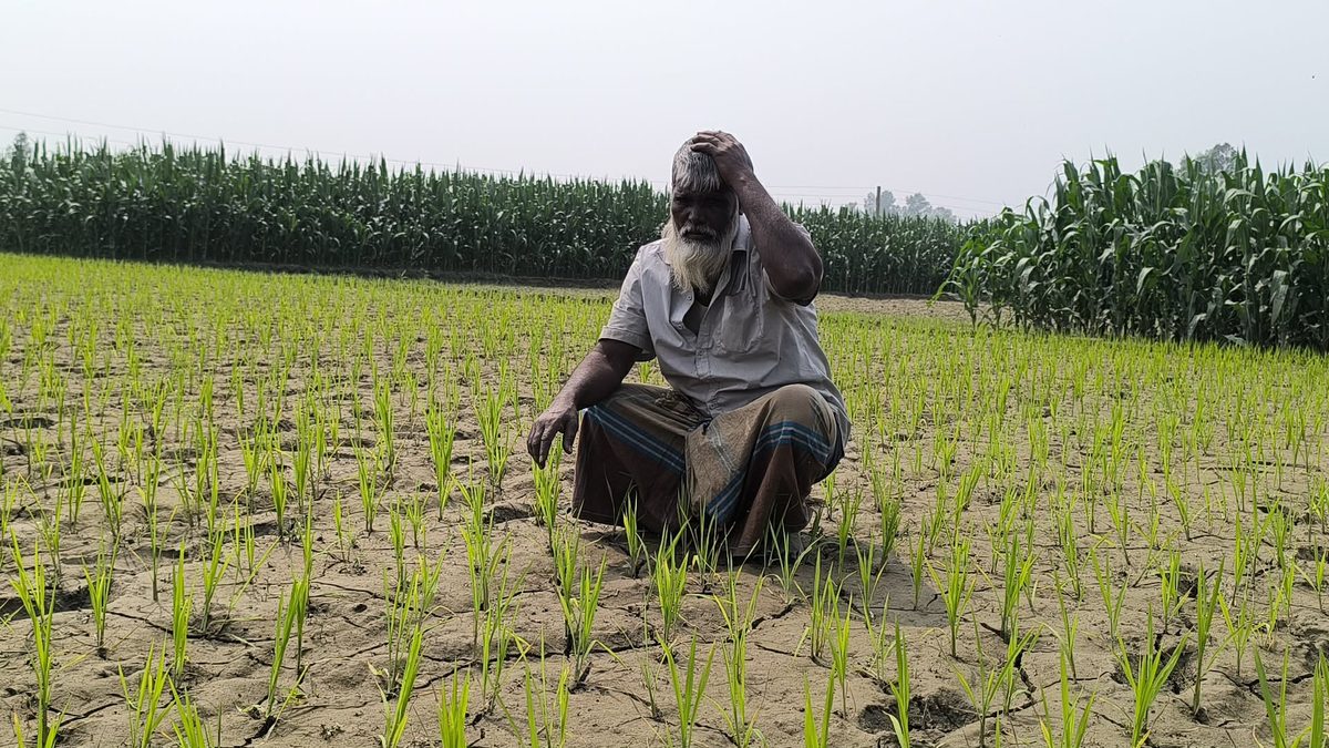 চাঁদা না দেওয়ায় সেচ পাম্পের সংযোগ বিচ্ছিন্ন,হুমকিতে বোরো আবাদ