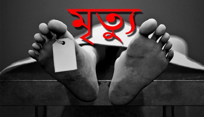 ছোট ভাইয়ের ইটের আঘাতে বড় ভাই নিহত