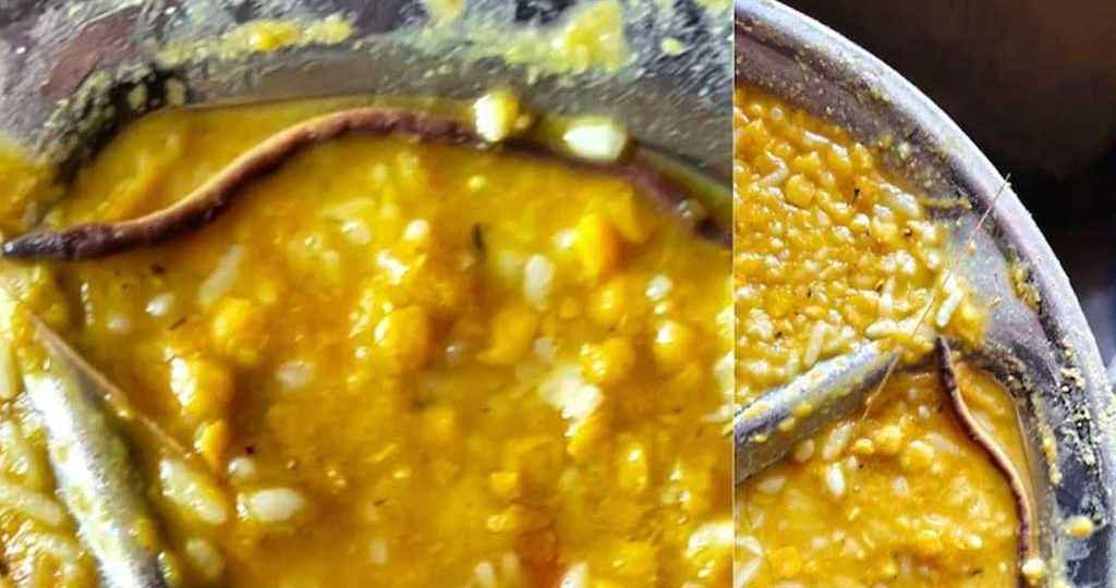 স্কুলের খাবারে সাপ, হাসপাতালে শতাধিক শিক্ষার্থী