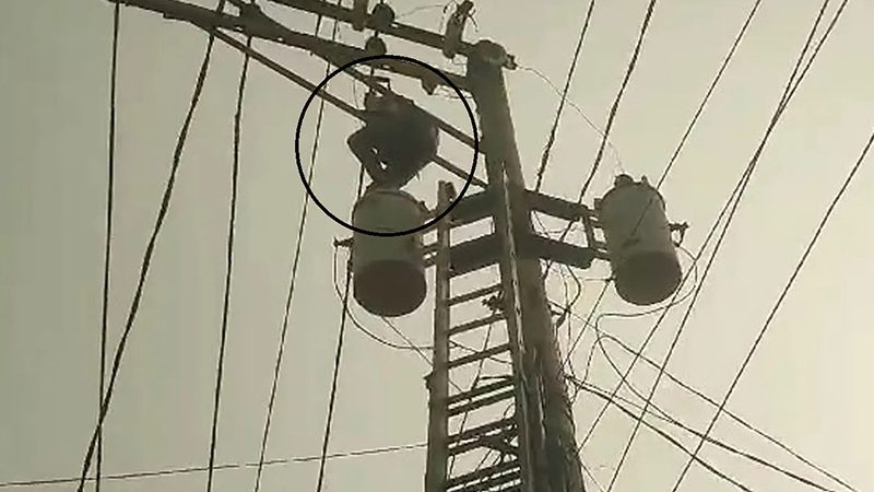১১ হাজার ভোল্টের বৈদ্যুতিক খুঁটিতে উঠে গেল যুবক ,অতপর...