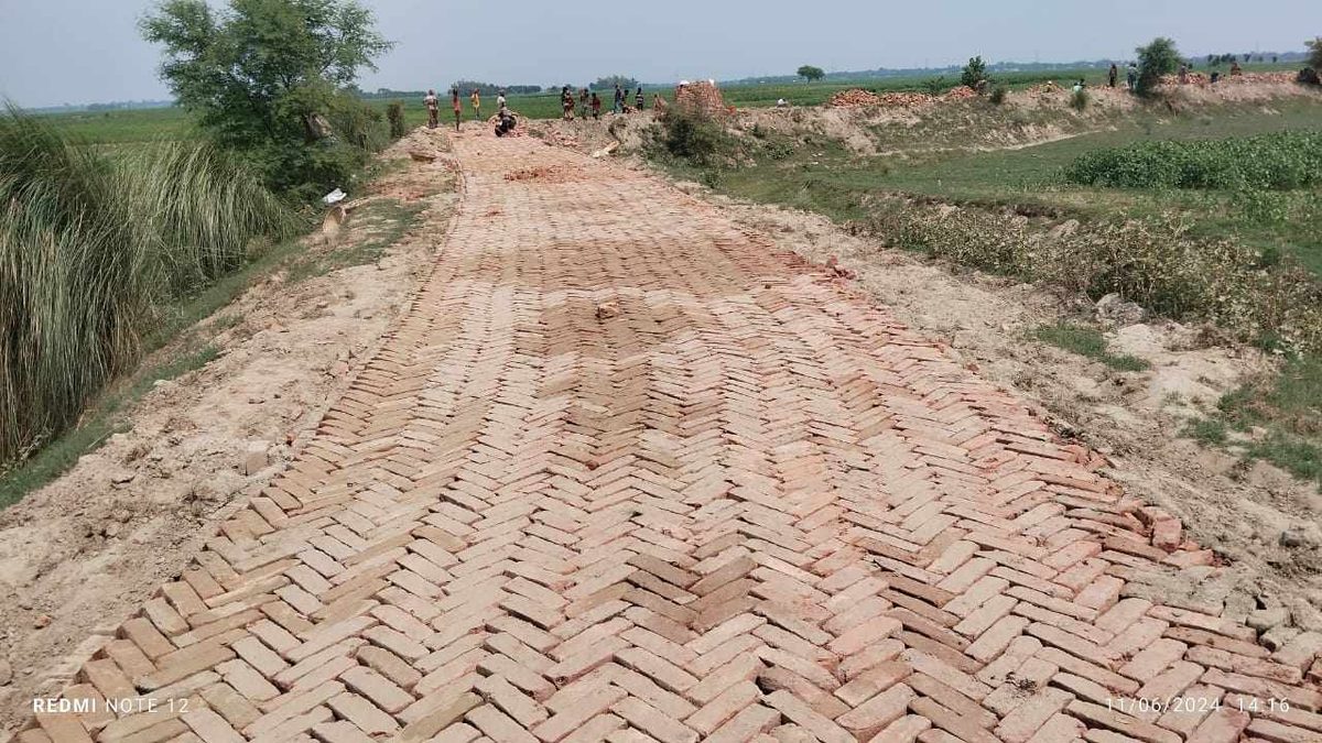 দৌলতপুরে পদ্মার চরে ইটের রাস্তায় বদলে যাচ্ছে ইতিহাস