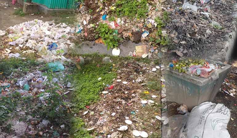 ইবি ক্যাম্পাস জুড়ে ময়লা-আবর্জনার স্তূপ,দুর্গন্ধে ভোগান্তিতে শিক্ষার্থীরা