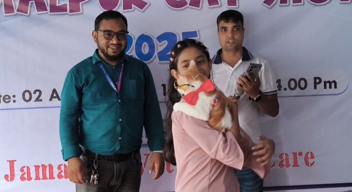 জামালপুরে অর্ধশতাধিক বিড়ালের ব্যতিক্রমী প্রদর্শনী