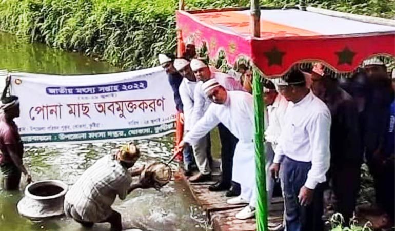 জাতীয় মৎস সপ্তাহ উপলক্ষে খোকসায় মাছের পোনা অবমুক্তকরন