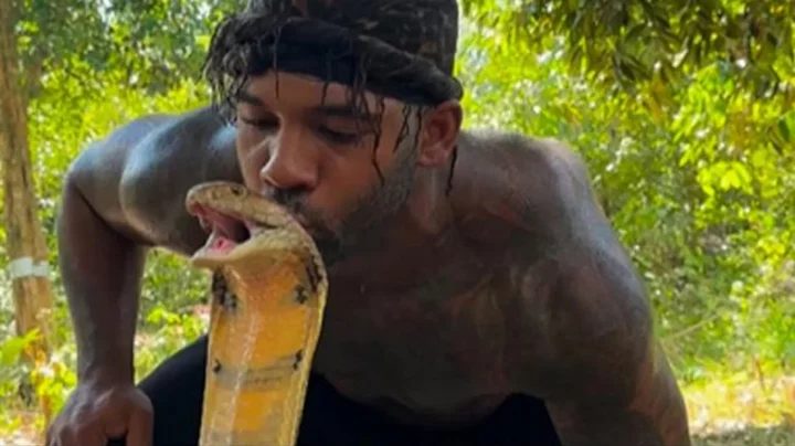 ভিডিও: সবচেয়ে বিষাক্ত সাপের মাথায় চুমু!