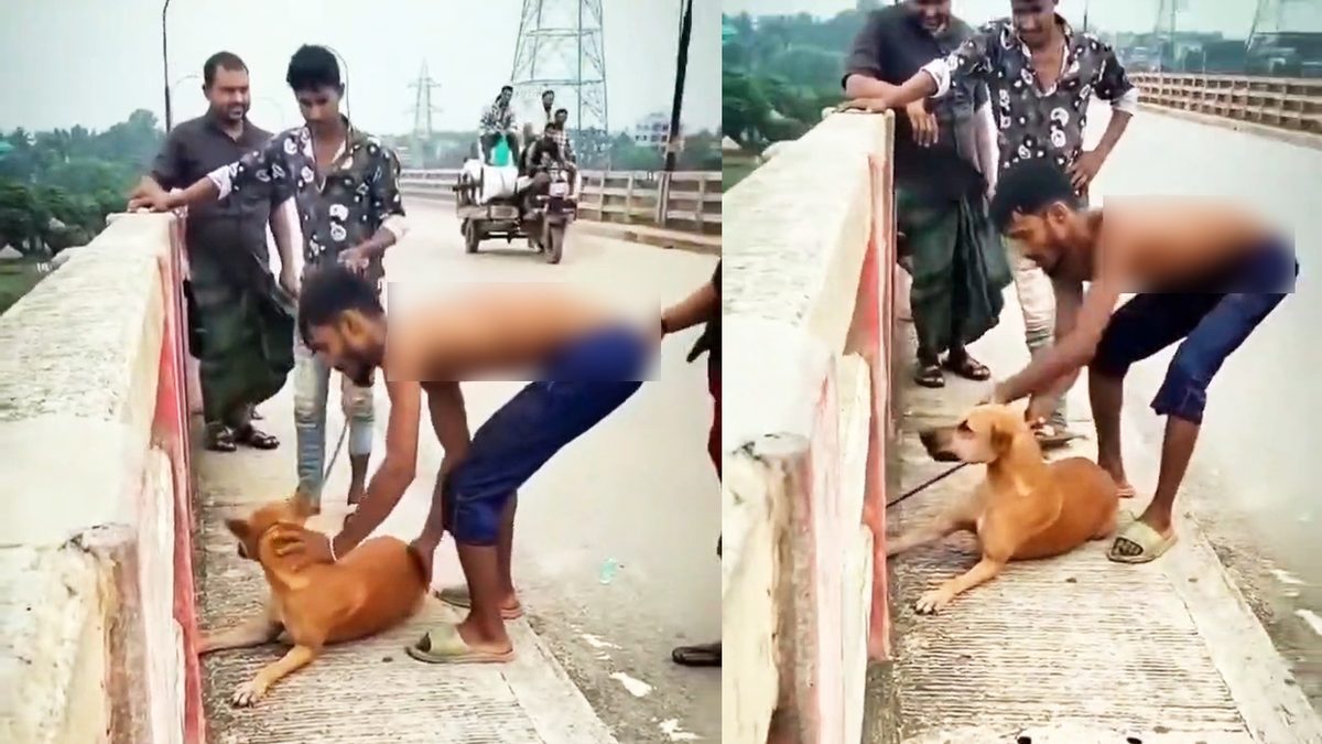 কুকুরের গলায় ইট বেঁধে সেতু থেকে নদীতে ফেলা যুবক আটক