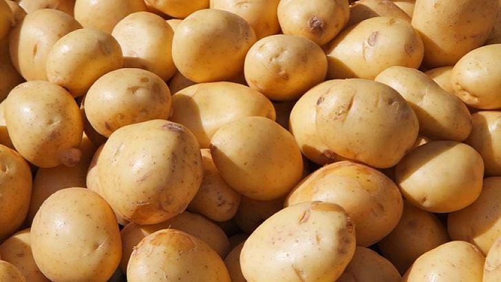 আবার বাড়ছে আলুর দাম