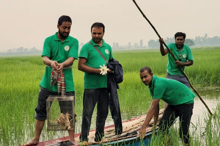 মুক্ত বক আকাশে, শিকারির জরিমানা