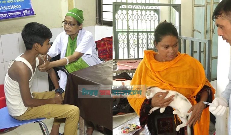 কুষ্টিয়ায় বিড়ালের কামড়ে জলাতঙ্ক টিকা নেওয়ার হার বেশি