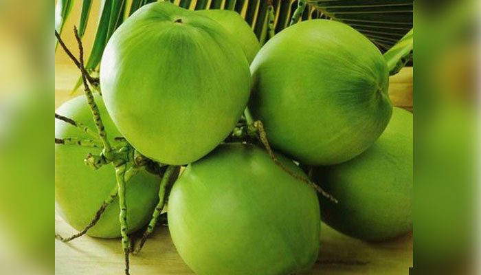 ডাব কেনাবেচায় রাখতে হবে রশিদ, দাম বেশি নিলে ব্যবস্থা