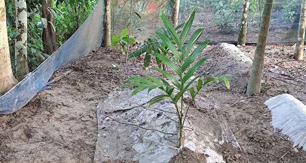 ভাইয়ের স্বপ্নে ‘হাজির’ মৃত বোন, কবর খুঁড়ে যা দেখল স্বজনরা