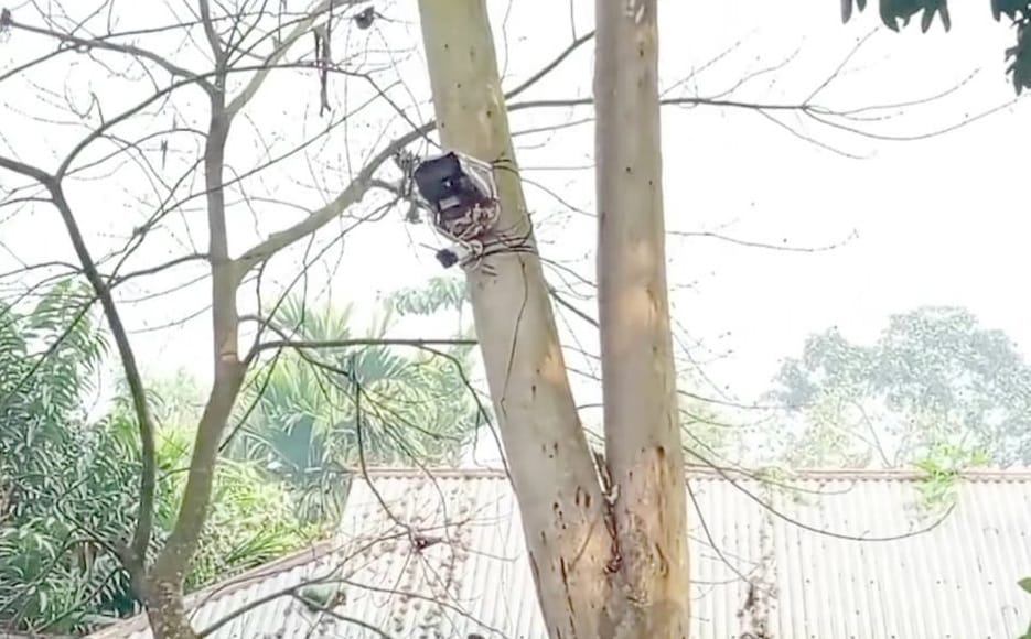 সীমান্তে গভীর রাতে সিসি ক্যামেরা স্থাপন করলো বিএসএফ