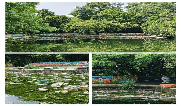প্রশাসনিক অবহেলায় জাবির সুইমিংপুল যেন মাদকাসক্ত আর অনৈতিক কর্মকাণ্ডের আখড়া