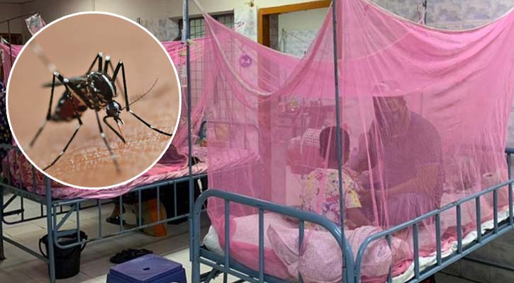 ডেঙ্গু আক্রান্ত হয়ে হাসপাতালে আরও ১৪৫ জন