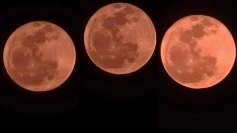 বাংলাদেশের আকাশে দেখা মিলল ‘গোলাপি চাঁদ’