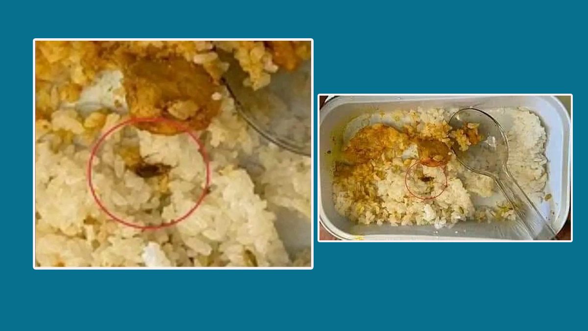 বিমানের খাবারে তেলাপোকা, তদন্ত কমিটি গঠন