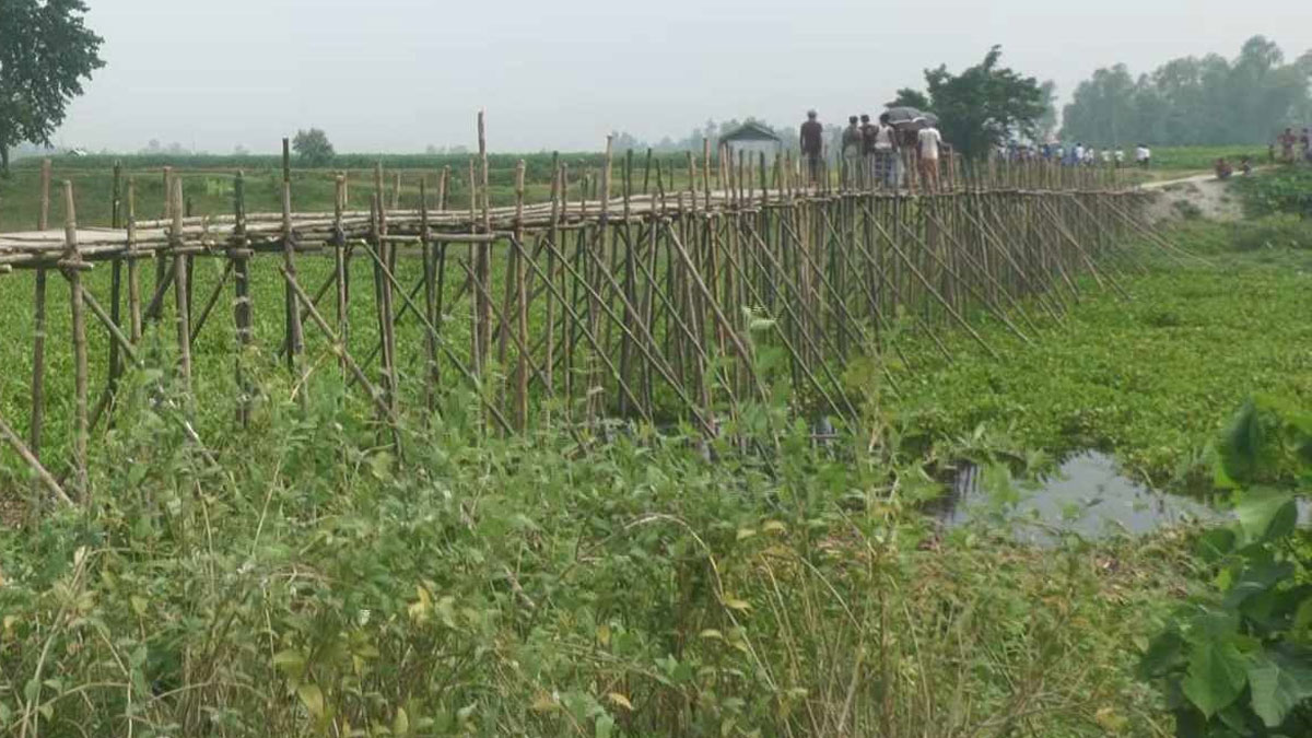 সেতু নেই, বাঁশের সাঁকোয় ঝুঁকি নিয়ে পারাপার