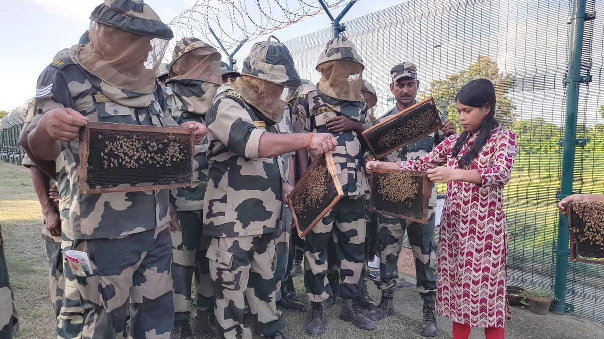 বাংলাদেশি অনুপ্রবেশ ঠেকাতে সীমান্তে মৌমাছি ‘মোতায়েন’ ভারতের
