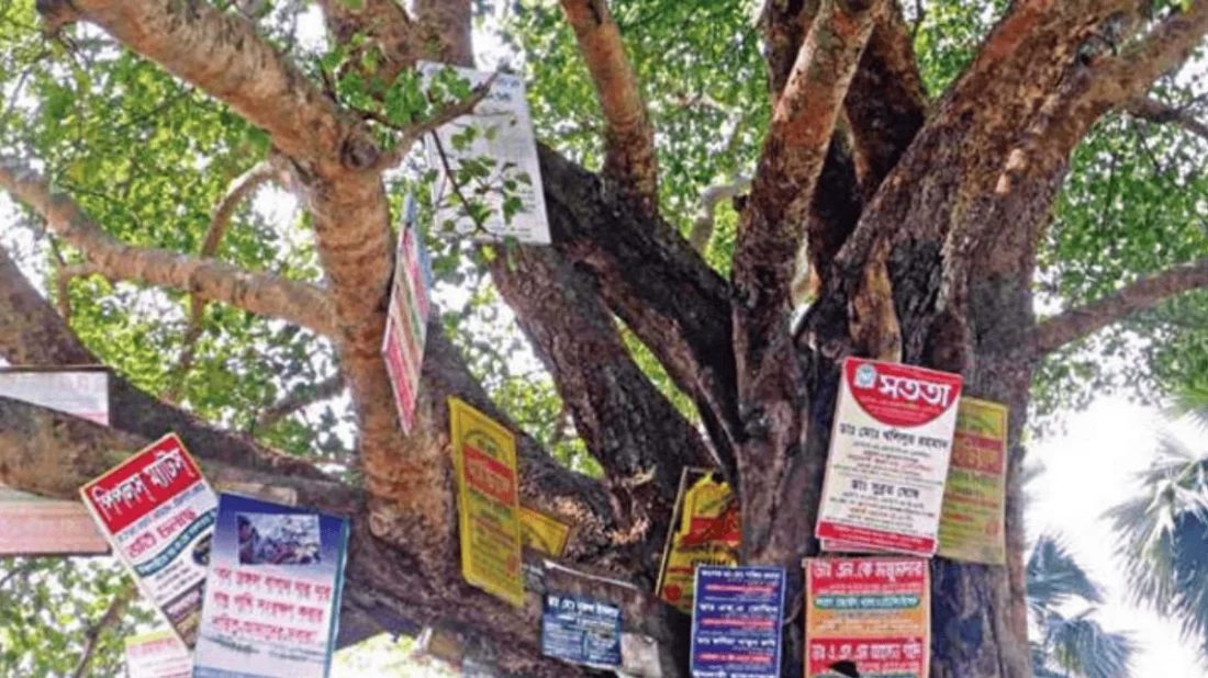 গাছে পেরেক লাগালে ২০ হাজার টাকা জরিমানা, নতুন অধ্যাদেশ জারি