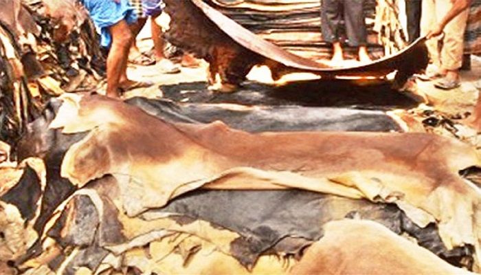 দেশে কুরবানির পশুর চামড়ার দাম নির্ধারণ
