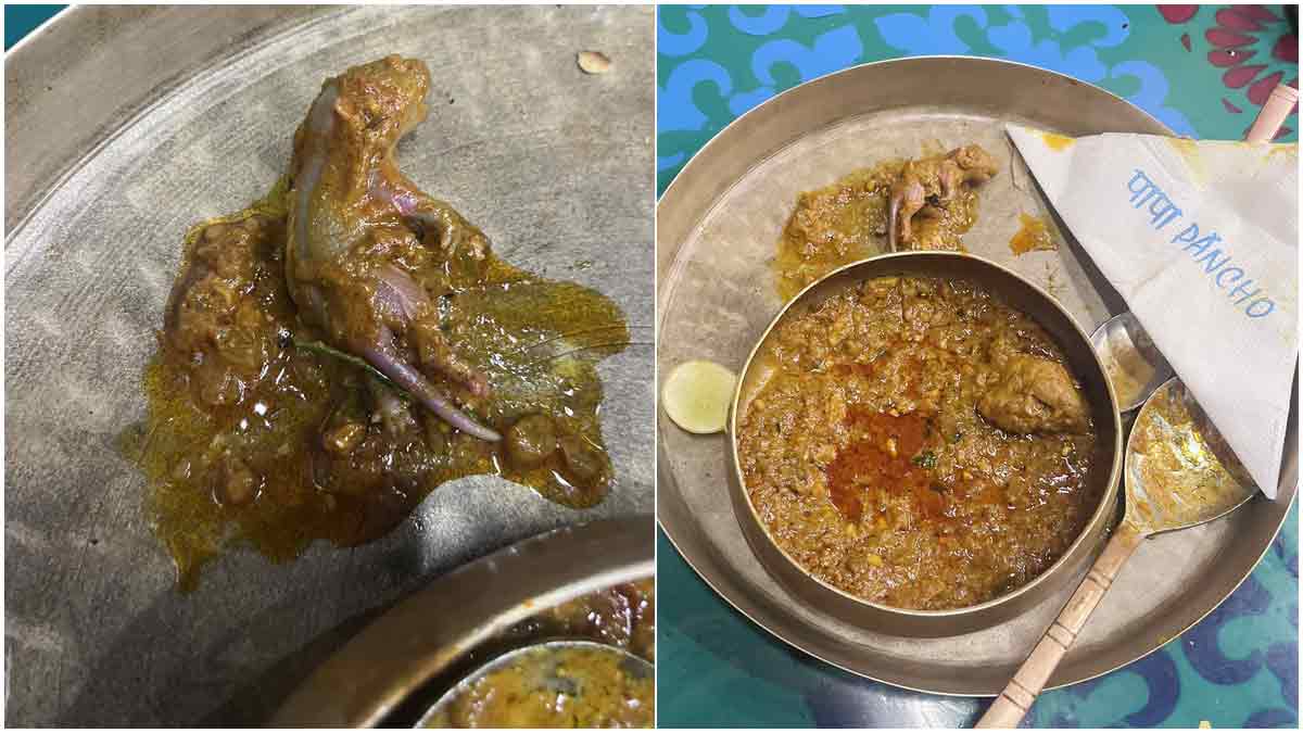 ভিডিও:হোটেলে খেতে বসে মুরগির তরকারিতে পেলেন মরা ইঁদুর