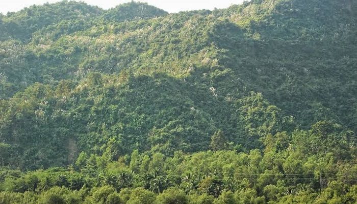 টেকনাফে ঘুরতে গিয় অপহরণের শিকার ২ কিশোর