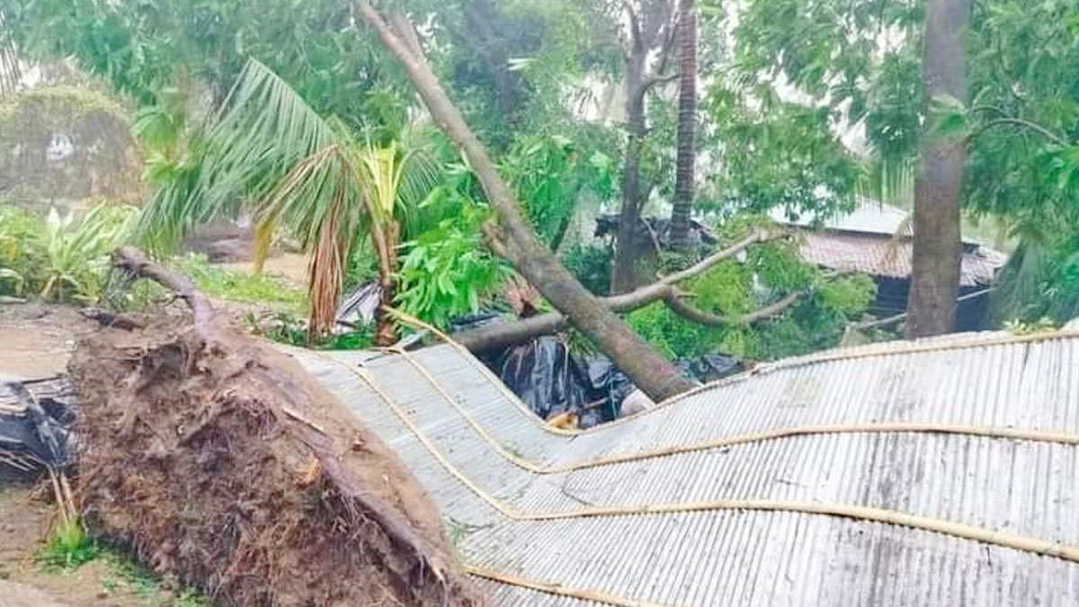 মোখার তাণ্ডব:কক্সবাজারে ১০ হাজার ঘরবাড়ি ক্ষতিগ্রস্ত, আহত ১১