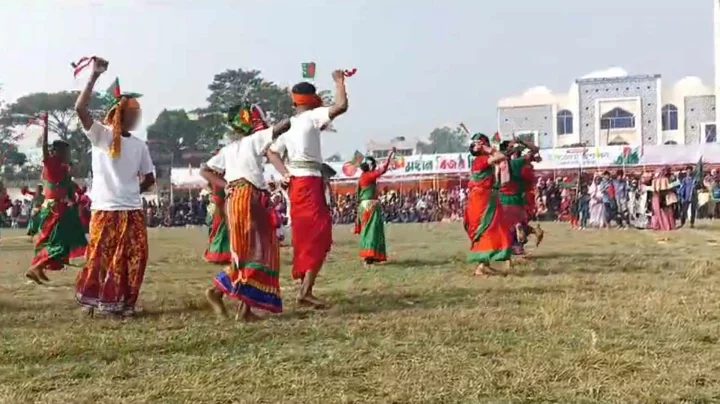 বিজয় দিবসের অনুষ্ঠানে ‘নৌকা’ মার্কার গান বাজিয়ে নৃত্য, শিক্ষকের জরিমানা