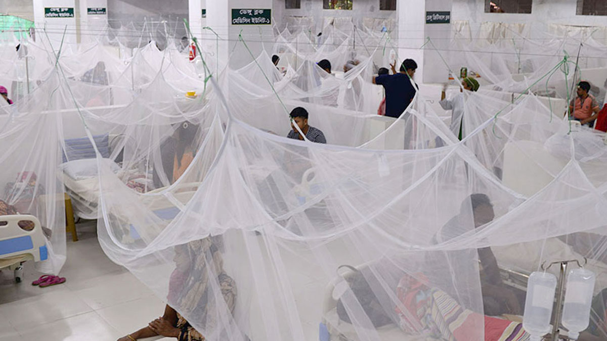 ডেঙ্গুতে ১৪ জনের মৃত্যু, হাসপাতালে ২৪৩২